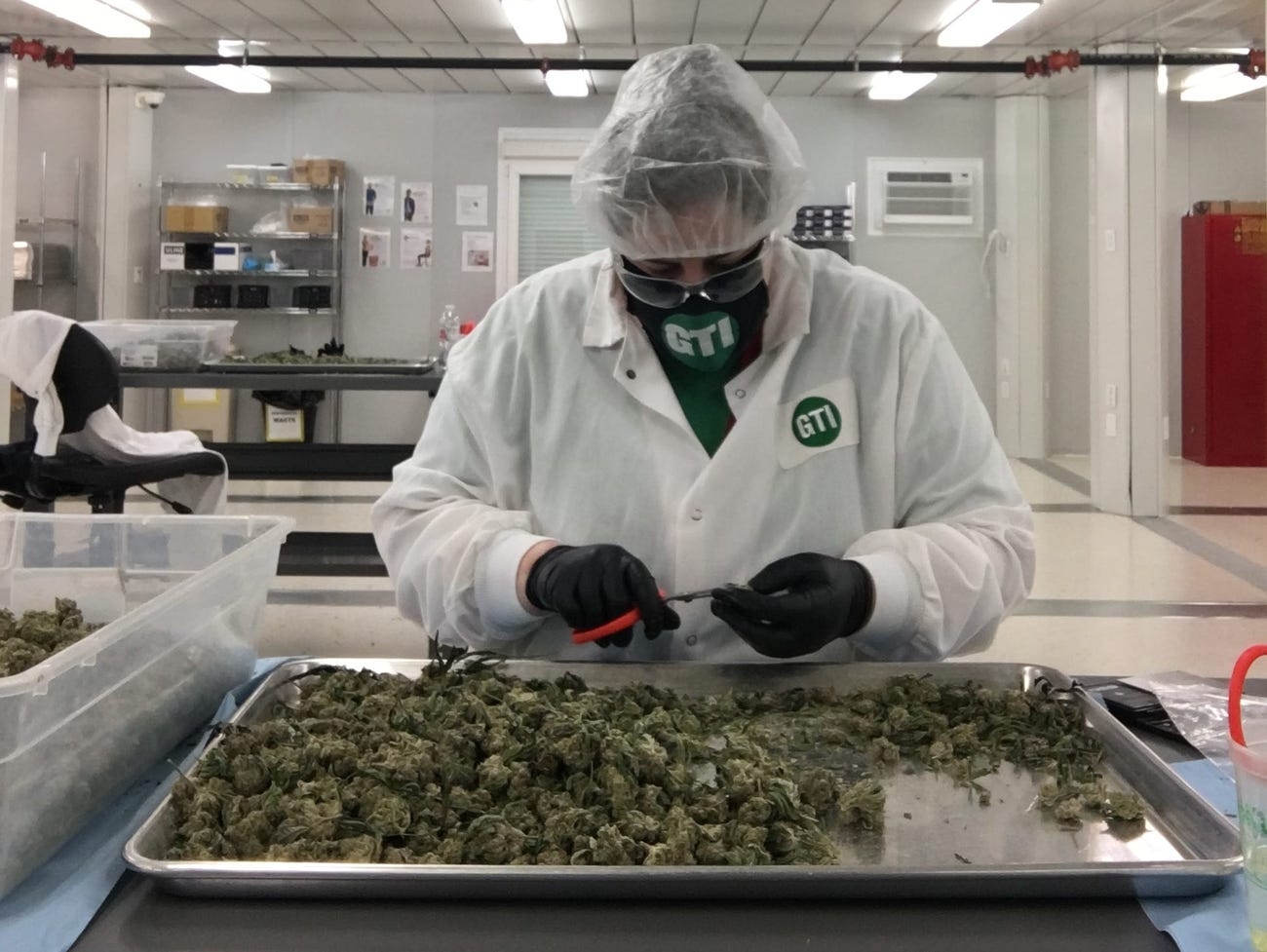 List of Job Types In The Marijuana Industry & Descriptions