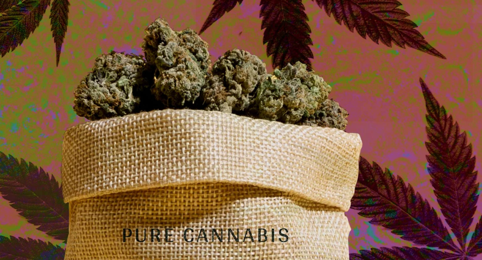 List of Job Types In The Marijuana Industry & Descriptions