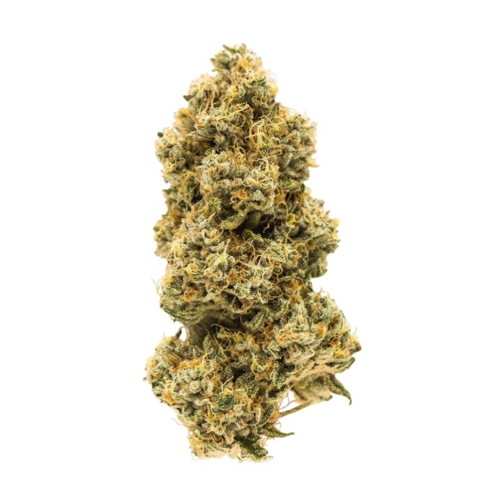 Animal Face Dominant Sativa