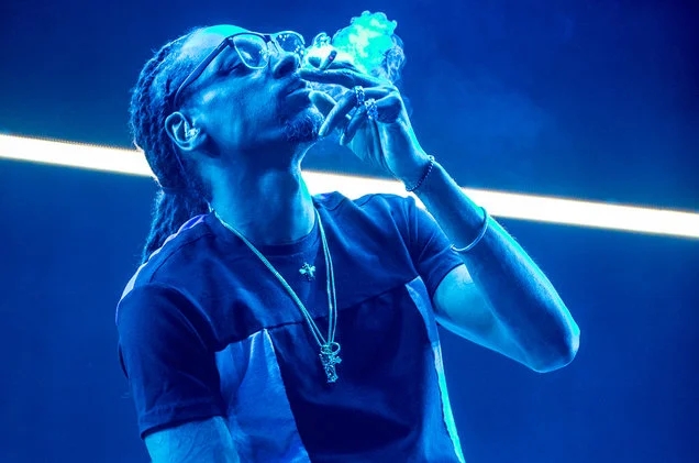 Snoop Dogg & His Son Pair Up For Metaverse Cannabis Cultivation