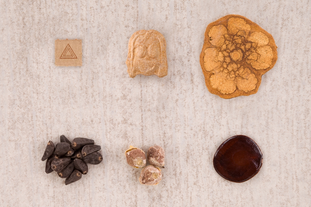 What is DMT: Effects & Facts