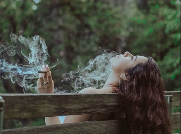 Rolling 101: The Differences In Rolling Paper Materials