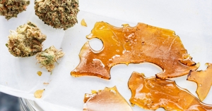 Cured Resin Vs. Live Resin: What’s The Difference?