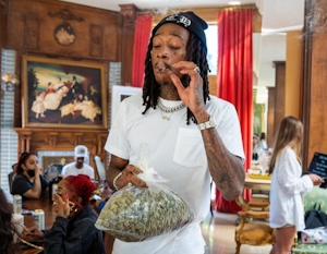 High Culture: The Biggest Celebrity Stoners & What They Smoke