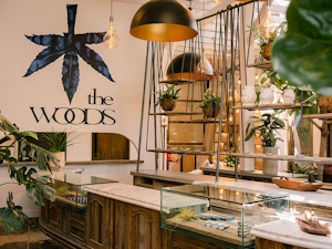 Woody Harrelson Opens “The Woods,” WeHo Dispensary & Consumption Lounge