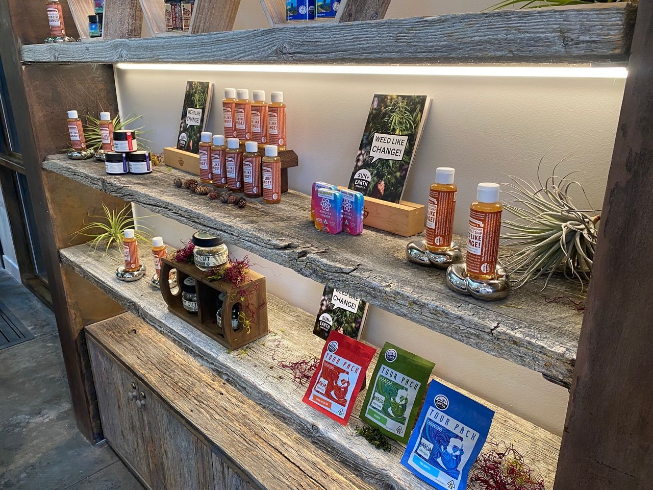 Woody Harrelson Opens “The Woods,” WeHo Dispensary & Consumption Lounge