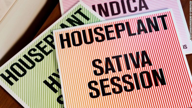 Listen To 103 Minutes Of “Impeccable Vibes,” With Houseplant’s Vinyl Box Set