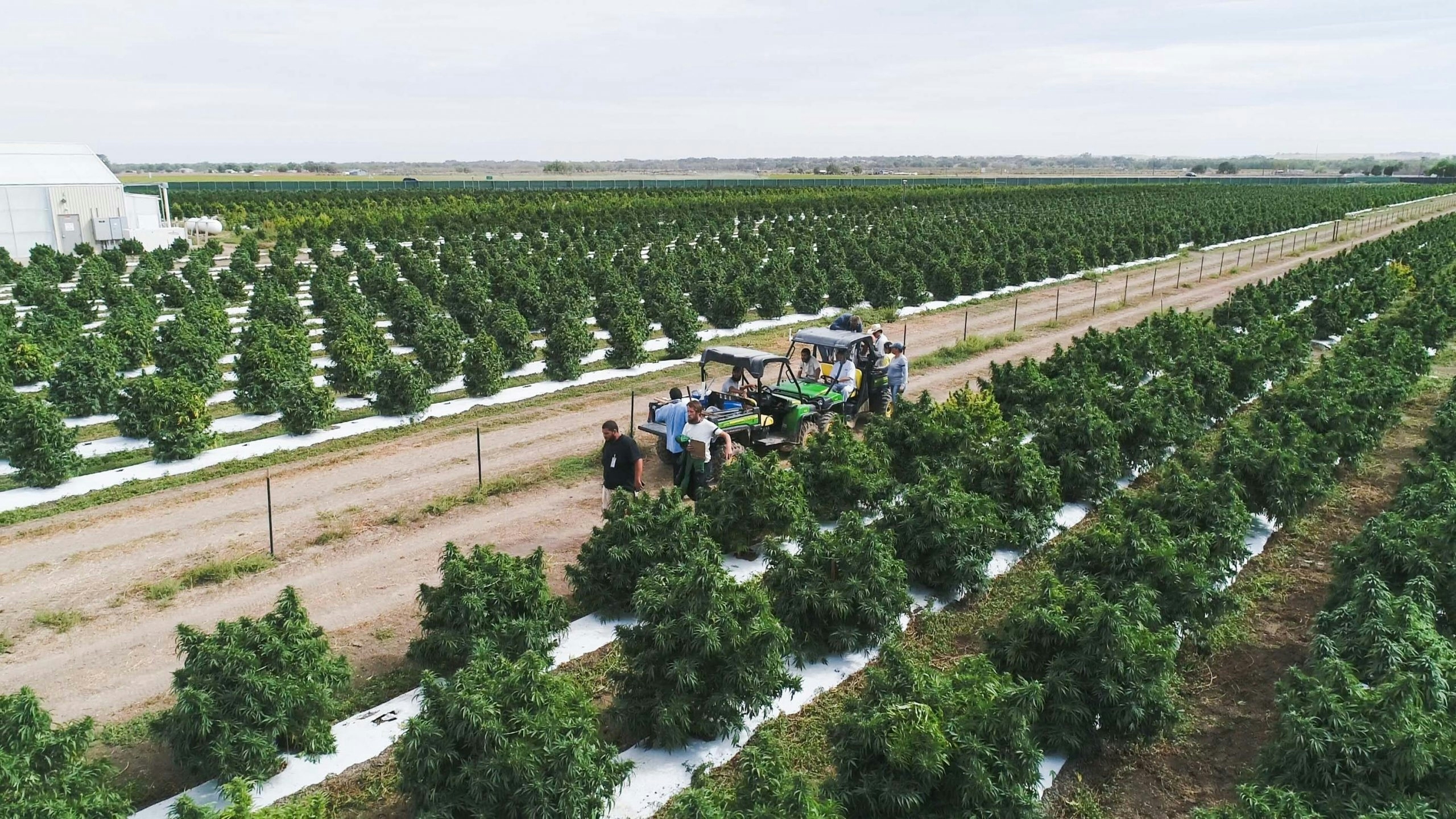 The Herbalist: The World’s Largest Grow Facilities