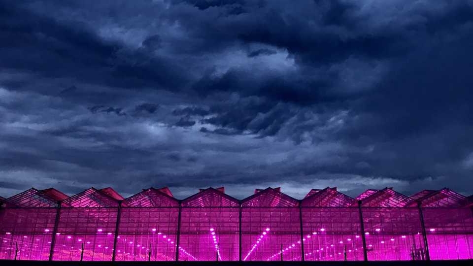 The Herbalist: The World’s Largest Grow Facilities