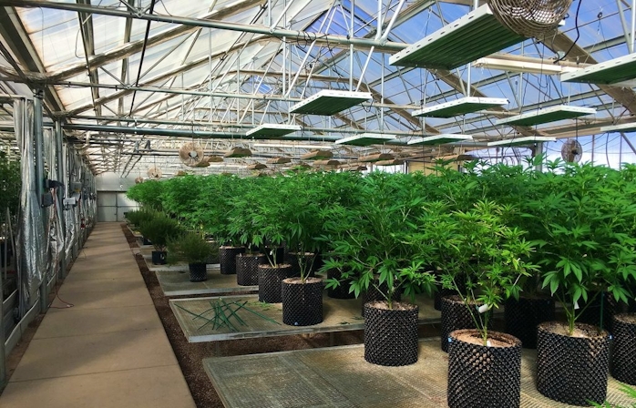 The Herbalist: The World’s Largest Grow Facilities