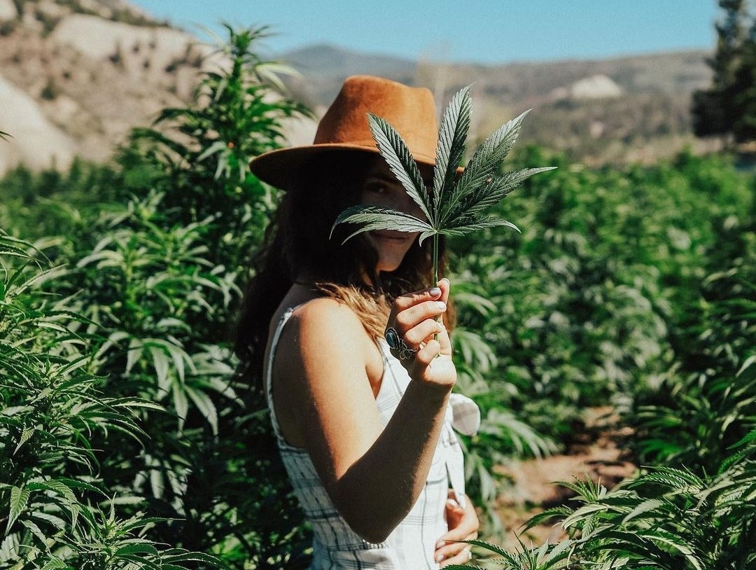 High Culture: Cannabis Social Media Influencers Who Are Changing The Game In 2023