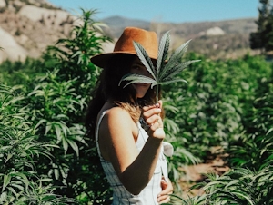 High Culture: Cannabis Social Media Influencers Who Are Changing The Game In 2023
