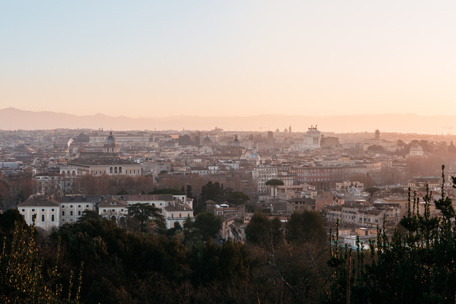 Road To Legalization: Where Is/Isn’t Cannabis Legalized?