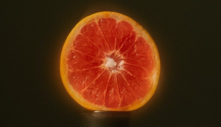 Strains Sense: Get Wildly Creative With These 10 Strains