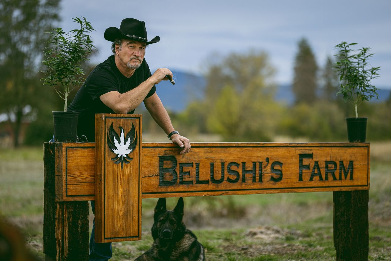 The Herbalist: Jim Belushi Is Changing The World One Cannabis Plant At A Time