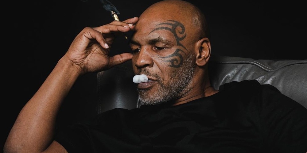 Tyson 2.0 Products Are Now Available In Washington State