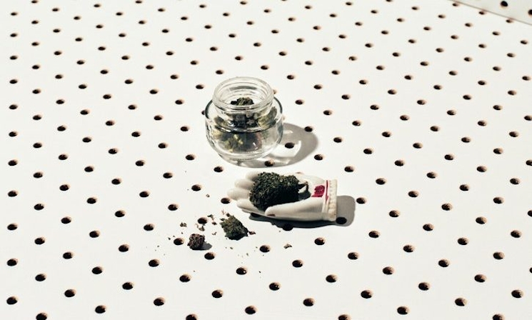 Argentina’s President Signs Legislation To Legalize Medical Marijuana & Industrial Hemp