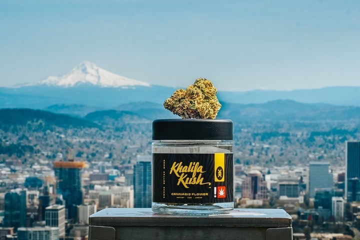 Top 10 Celebrity Weed Brands That Actually Live Up to the Hype