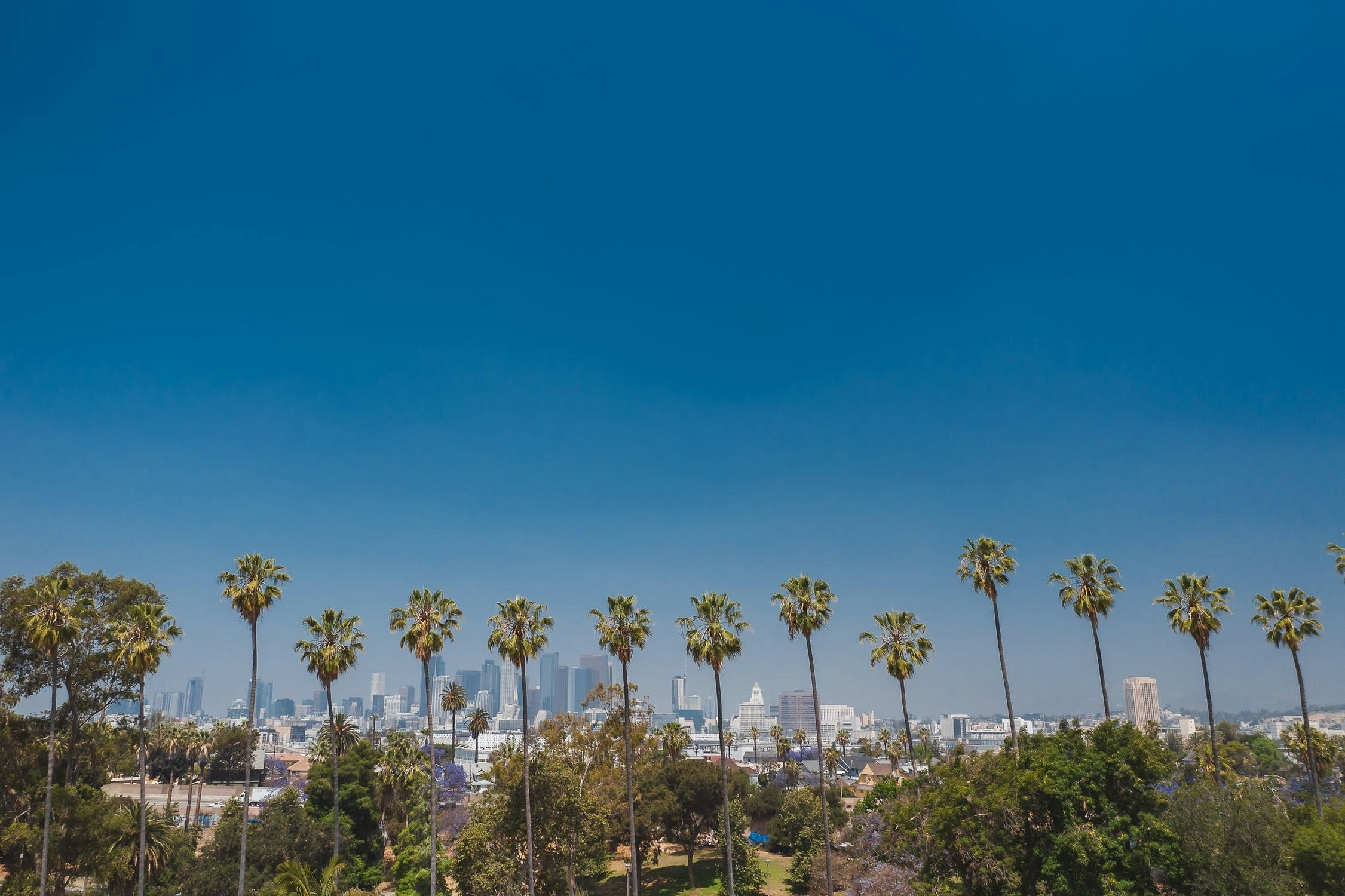 Road To Legalization: US States That Are Making The Biggest Legalization Moves