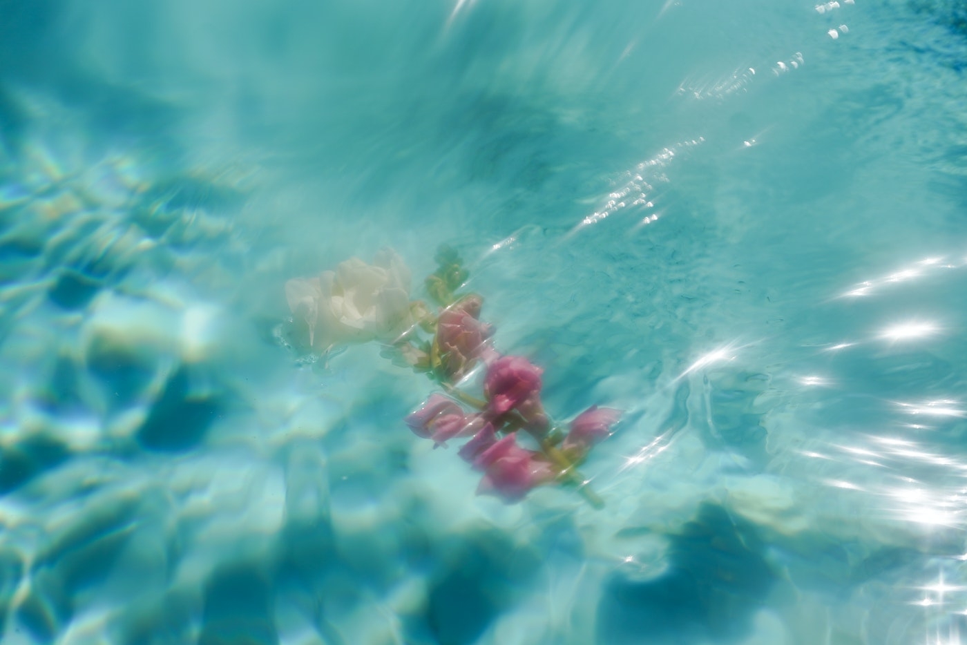 Strains Sense: 5 Strains That Will Melt Your Stress Away