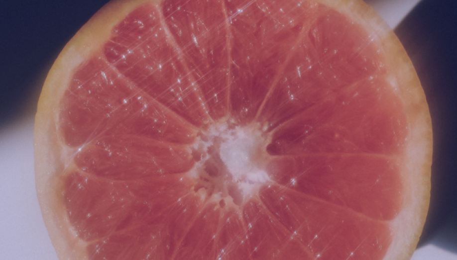 Stonerpedia: How Terpenes Affect Your Sesh