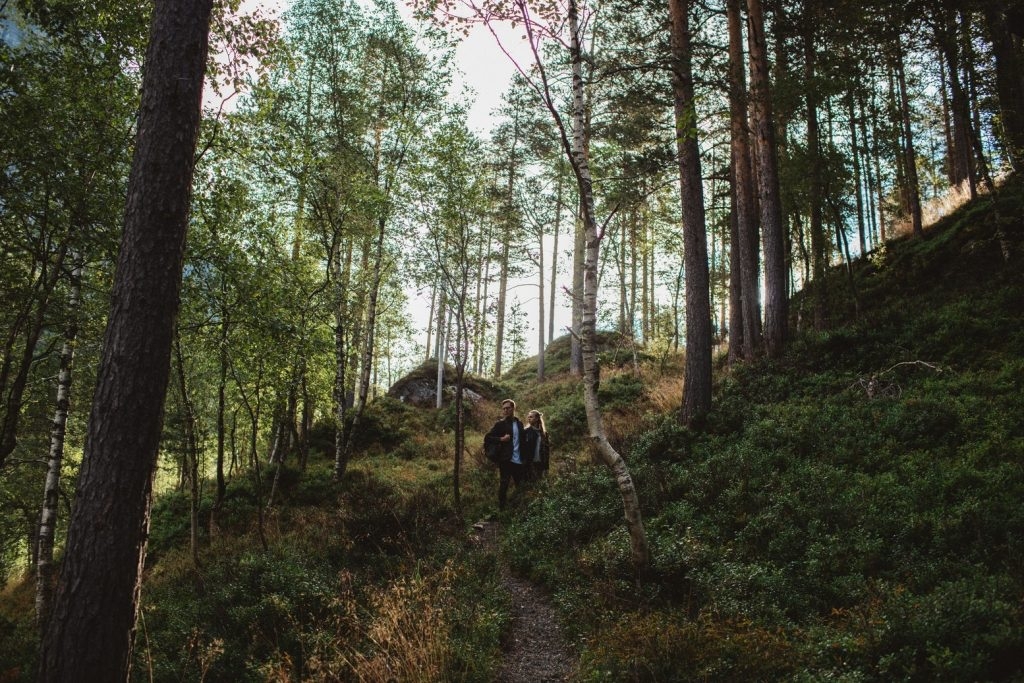 Strains Sense: 10 Strains For The Avid Hiker