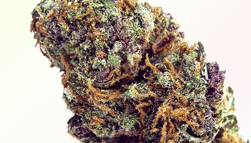 Forbidden Fruit Weed Strain Information