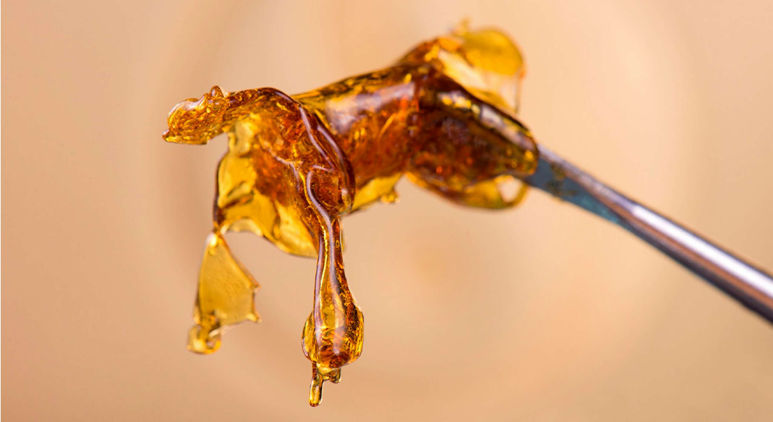 Smoking Hash Oil Recommendations And Tips 6150