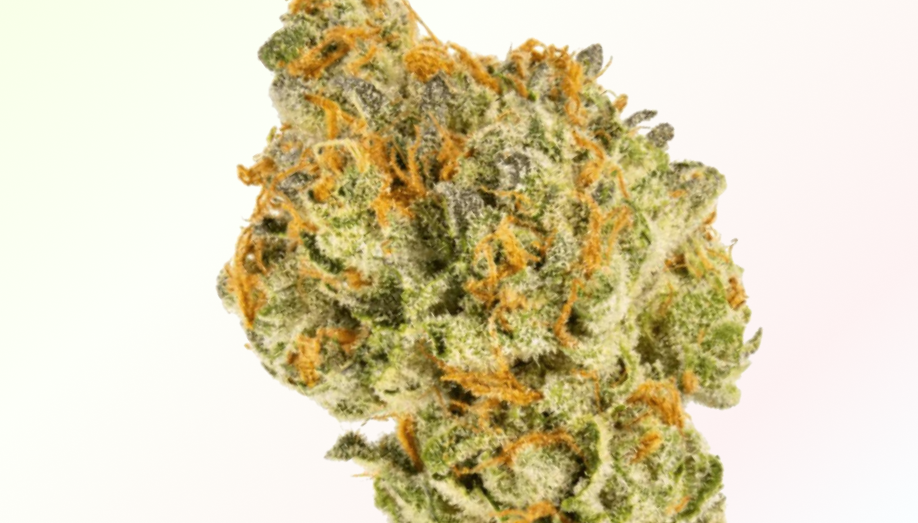Strains Sense: Mandarin Cookies