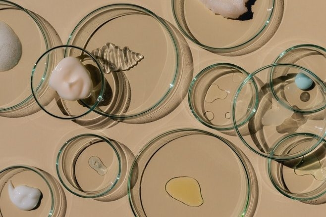 Debunking 5 Common Myths About CBD