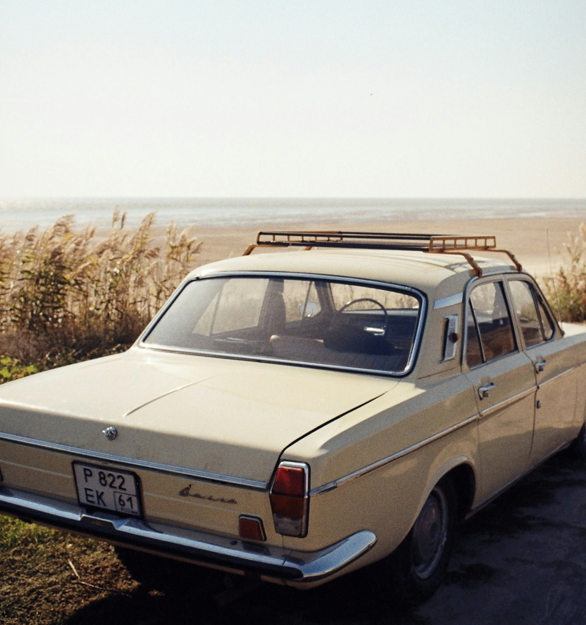 The Best Weed Strains For Summer 2025