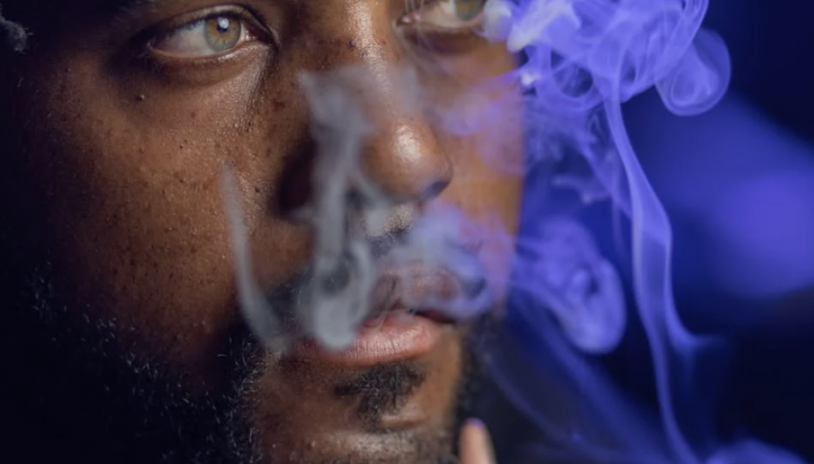 Stonerpedia: How Delta-8 Is Transforming The Cannabis Industry