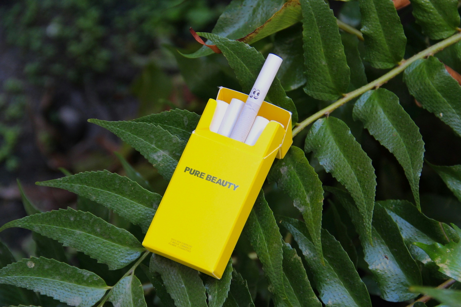 The Herbalist: Pure Beauty’s Commitment To Social & Environmental Responsibility