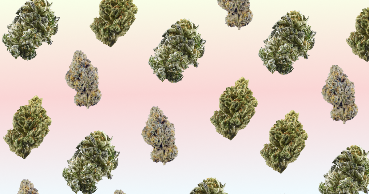 Strains Sense: Top 10 Most Popular Strains In Colorado 2025