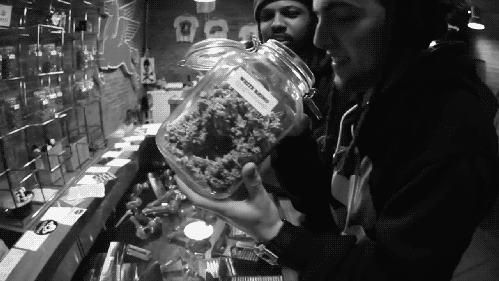 15 Best Iconic Rap Lyrics About Weed