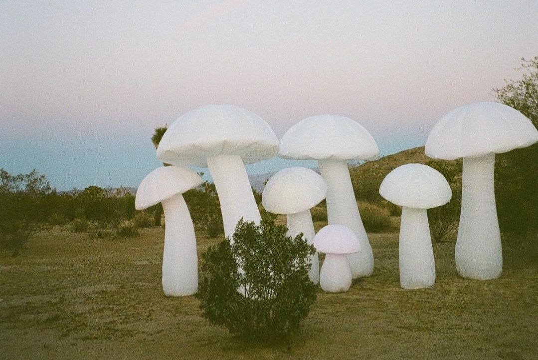 Behind The Brand: YAWN, Welcoming You To The World Of Psychedelic Wellness