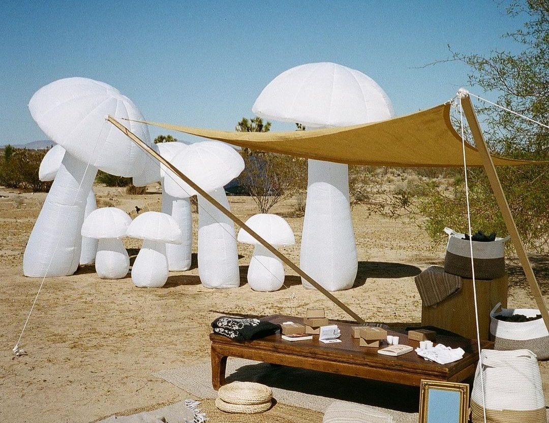 Behind The Brand: YAWN, Welcoming You To The World Of Psychedelic Wellness