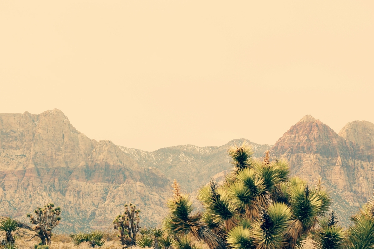 Road To Legalization: Is Weed Legal In California?