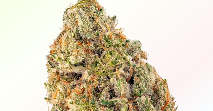 Strains Sense: Clementine
