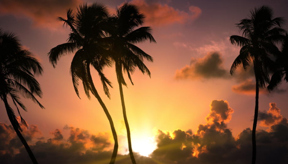 Road To Legalization: Is Weed Legal In Florida?