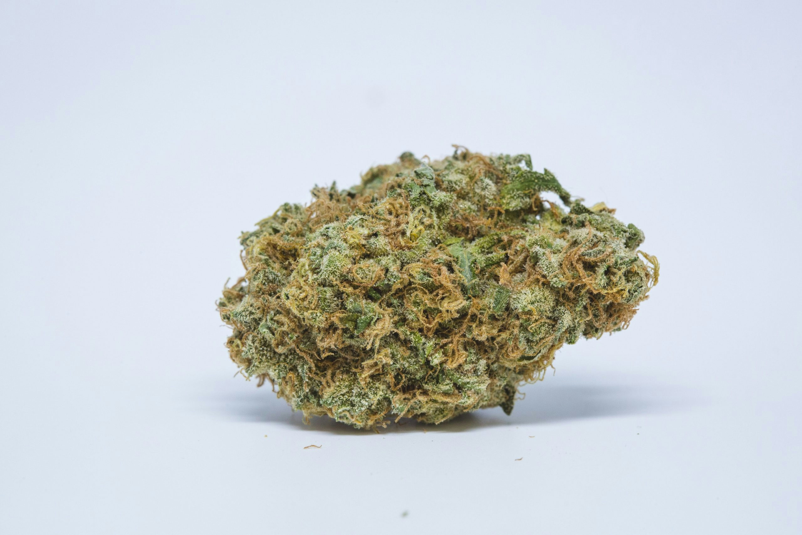 Socialize With Ease The 10 Best Strains For Social Anxiety