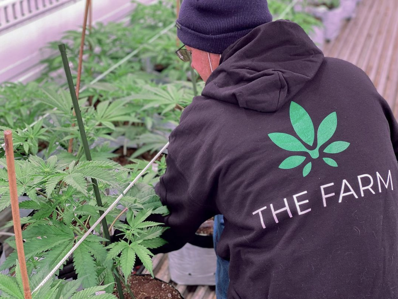 Best Boulder Dispensary Hot Spots 2025