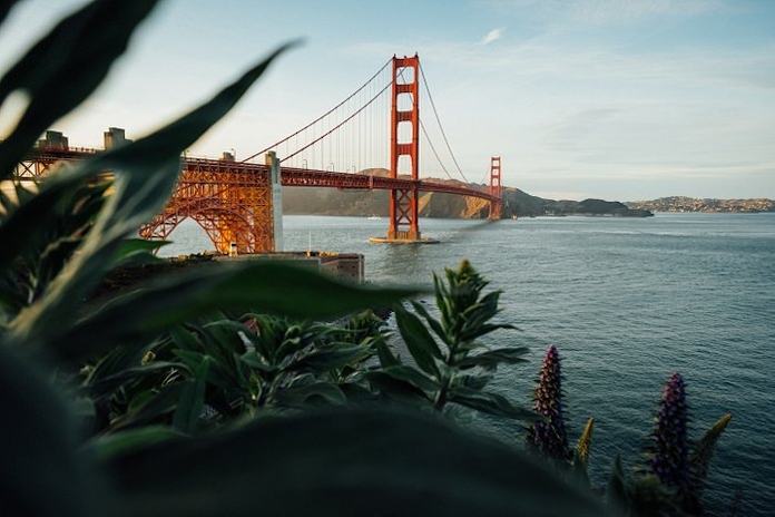San Francisco Lawmakers Push To Decriminalize Psychedelic Drugs