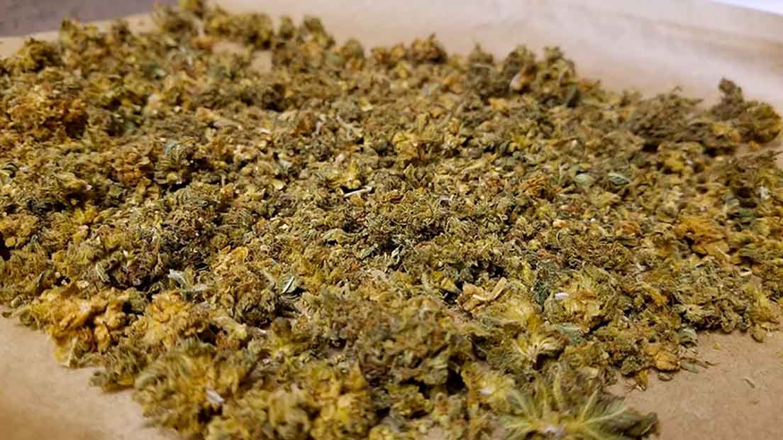 How To Make The Best Cannabis Oil At Home