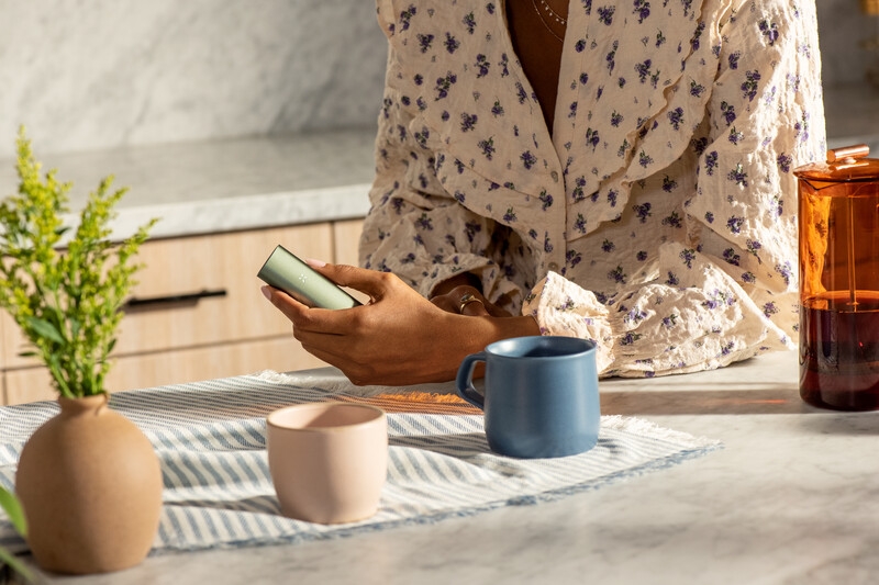 PAX Mini Cleaning – How To Clean PAX Mini The Right Way