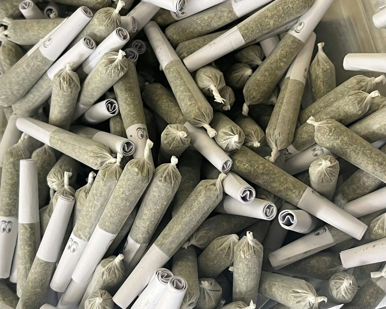 Your Guide To Burning Man 2022