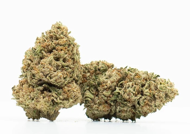 The Best Sativa Strains For Energy 2025