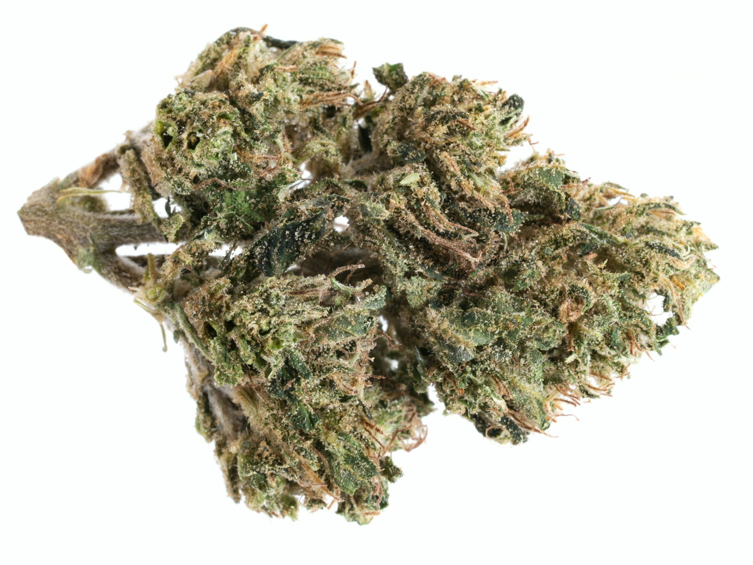 The Best Sativa Strains For Energy 2025