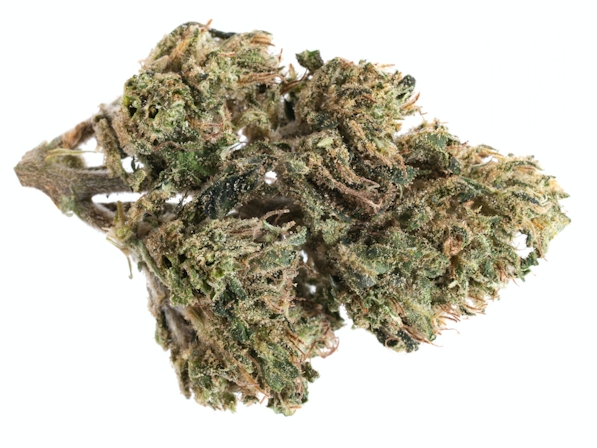 The Best Sativa Strains For Energy 2025