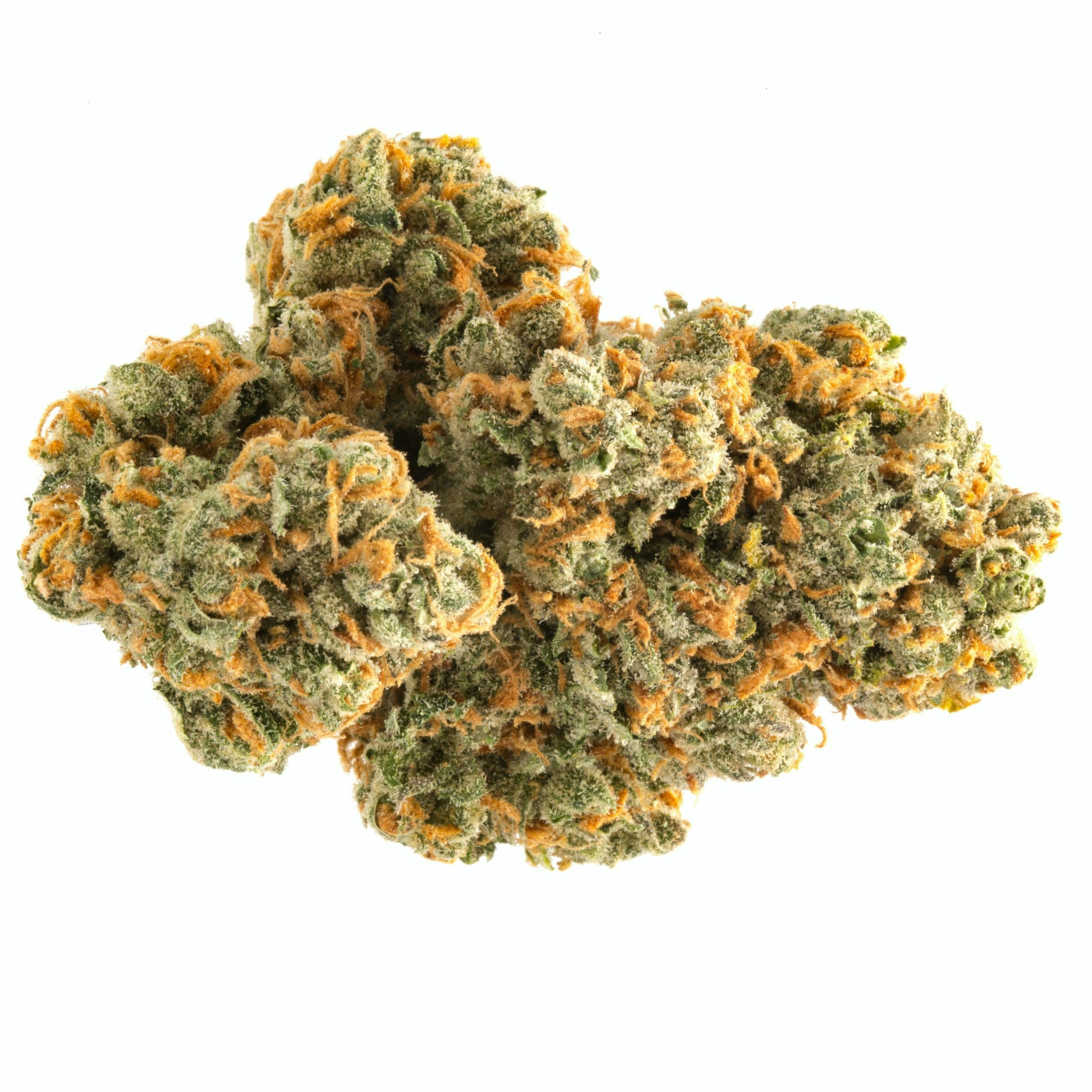 The Best Sativa Strains For Energy 2025